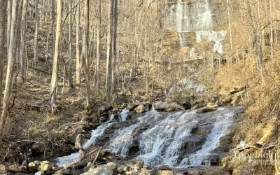 Amicalola Falls: North Georgia’s most popular hiking destination