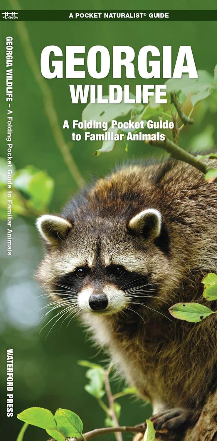 Georgia animals