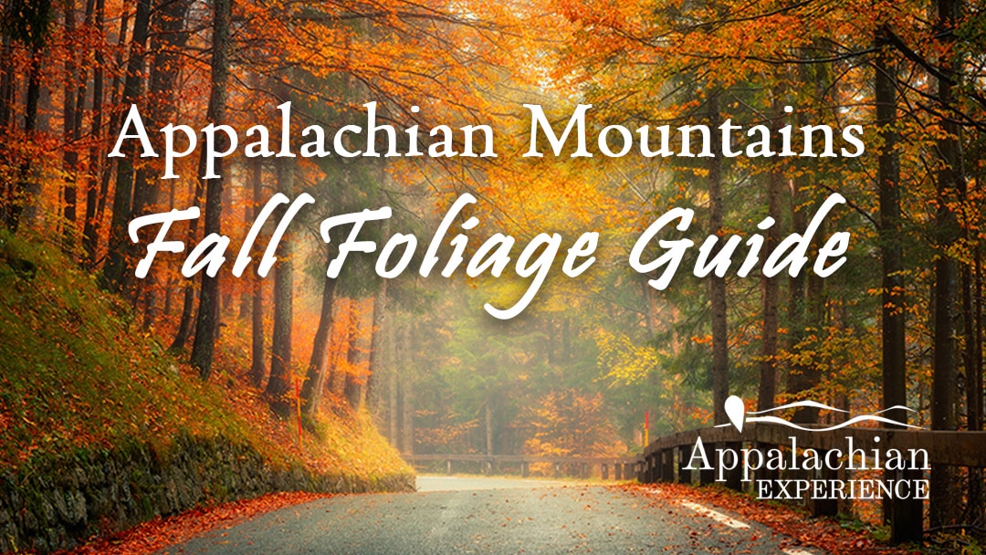 Appalachian Mountains Fall Foliage Guide