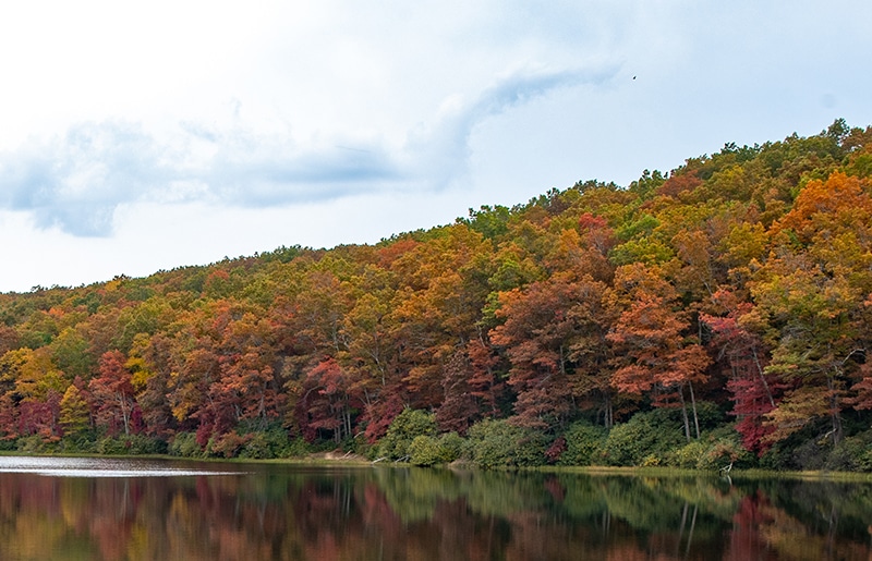 Fall Foliage in Appalachia 2025