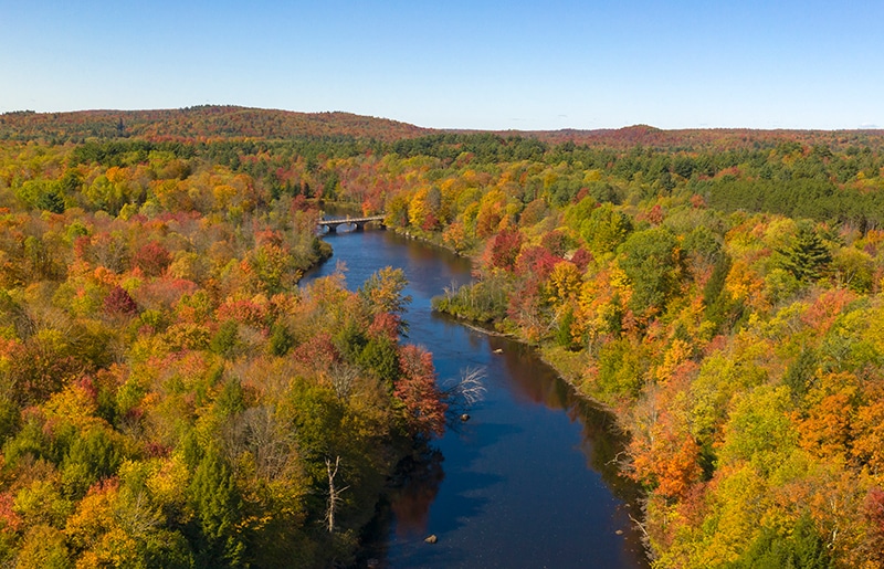 Fall Foliage in Appalachia 2025