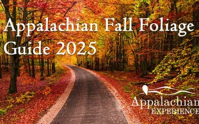 Best Places to See Fall Foliage in Appalachia (2025 Travel Guide)