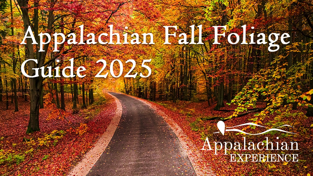 Best Places to See Fall Foliage in Appalachia (2025 Travel Guide)