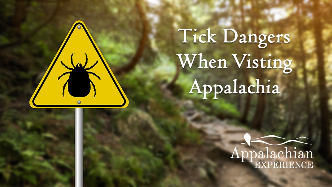 tick-dangers-when-visting-appalachia tick dangers when visiting appalachia