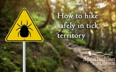 How to hike safely in tick territory
