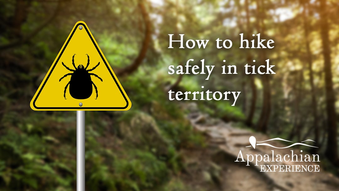 tick-dangers-when-hiking How to hike safely in tick territory